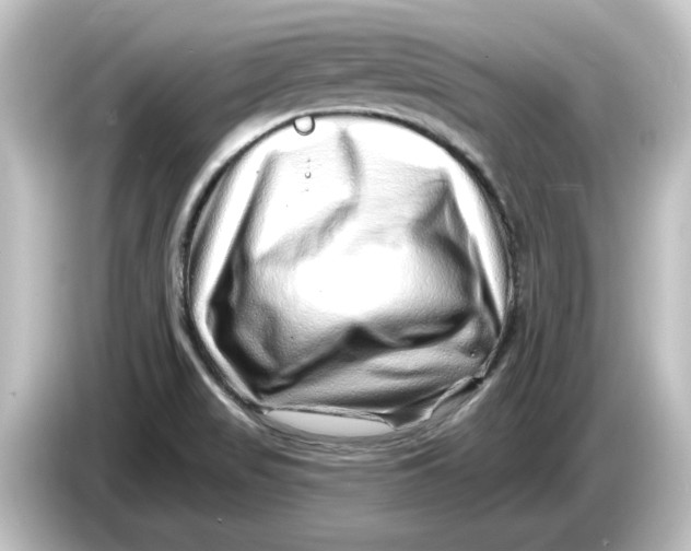 X0000084601517200703161809