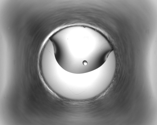 X0000084601518200703161809