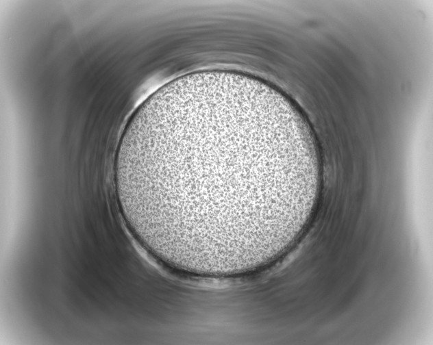 X0000084601521200703161809