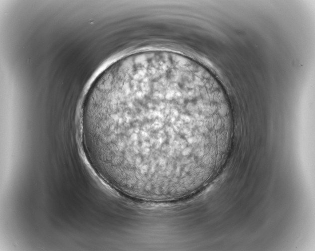 X0000084601522200703161809