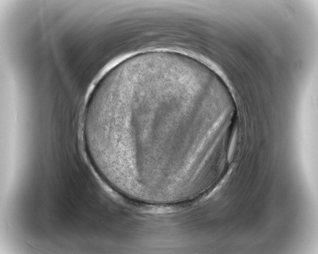 X0000084601525200703161809