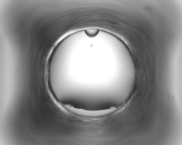 X0000084601526200703161809