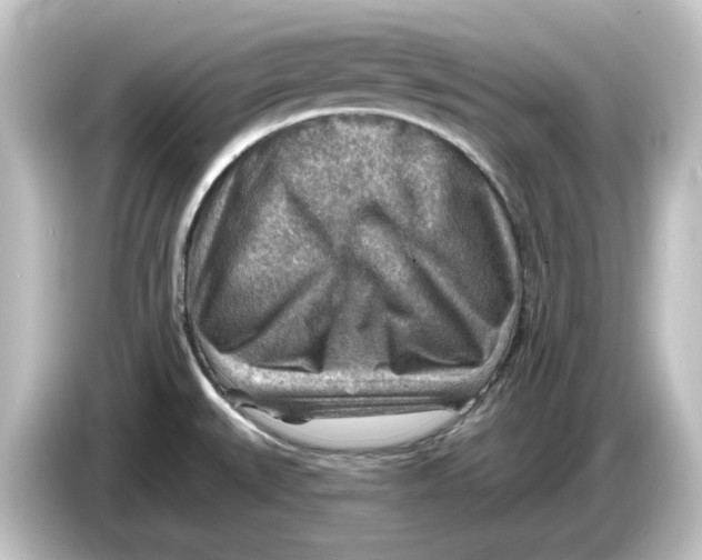 X0000084601527200703161809