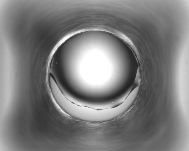 X0000084601528200703161809