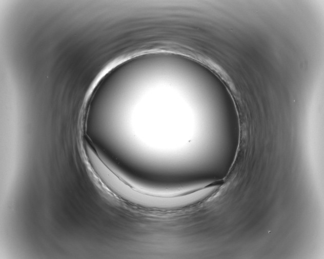 X0000084601530200703161809