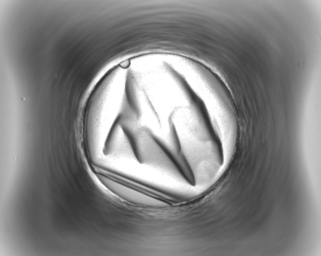 X0000084601531200703161809