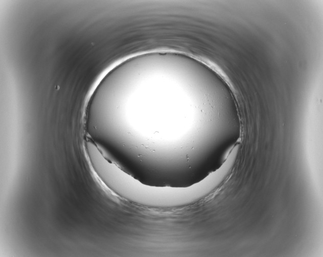 X0000084601532200703161809