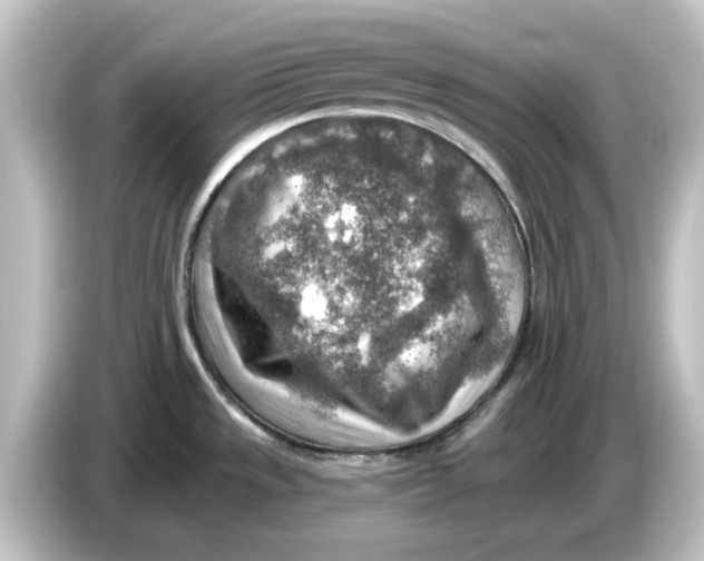 X0000084601533200703161809