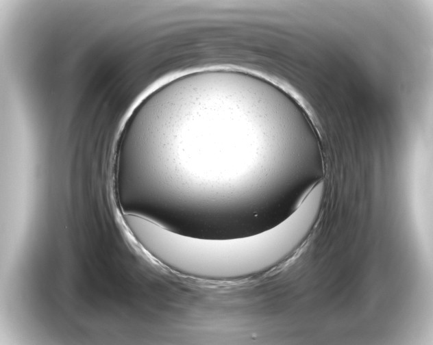 X0000084601534200703161809