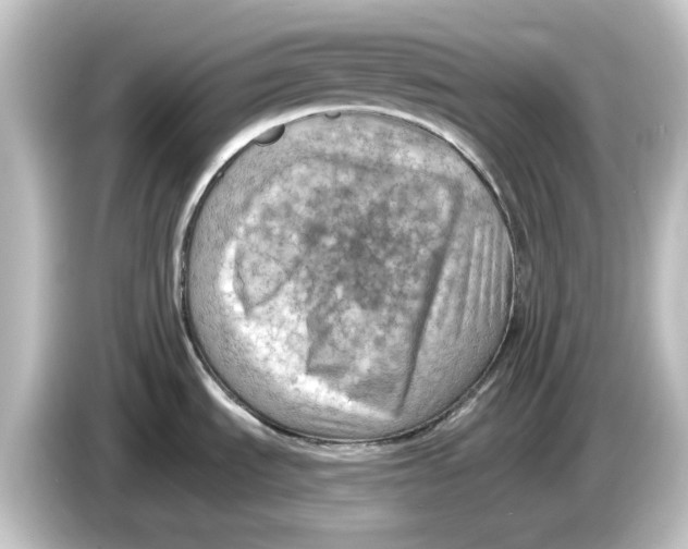 X0000084601535200703161809