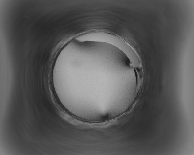 X0000084600001200703231937