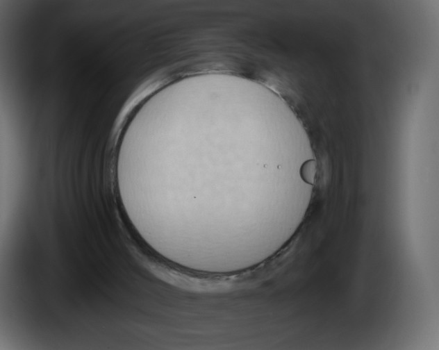 X0000084600004200703231937