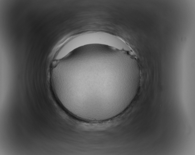 X0000084600005200703231937