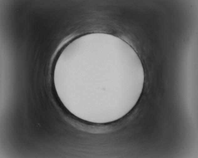 X0000084600008200703231937