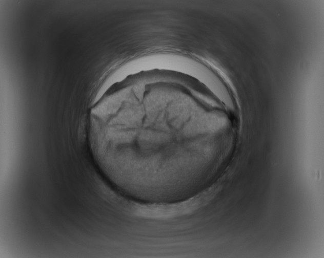 X0000084600009200703231937