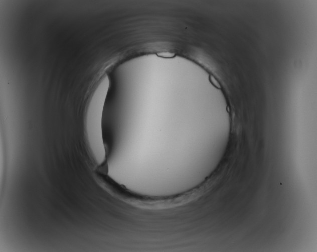 X0000084600013200703231937