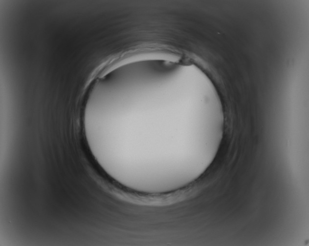 X0000084600015200703231937