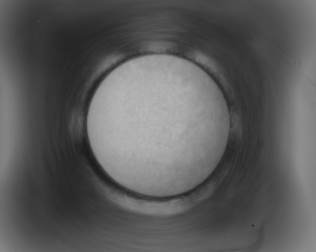 X0000084600016200703231937