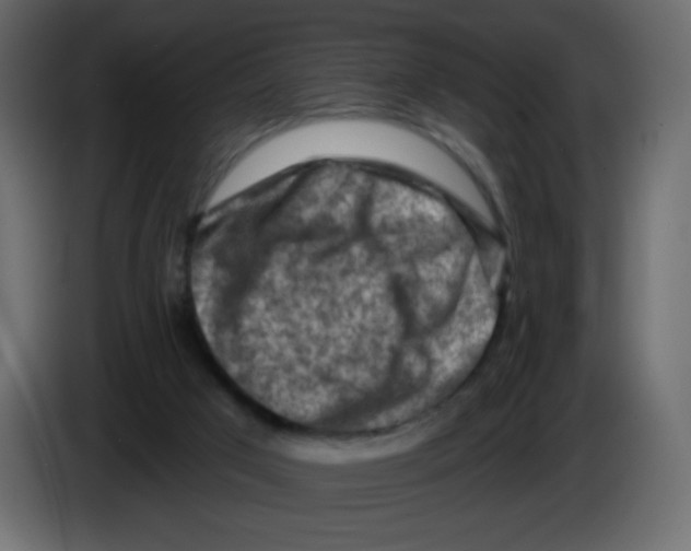 X0000084600017200703231937