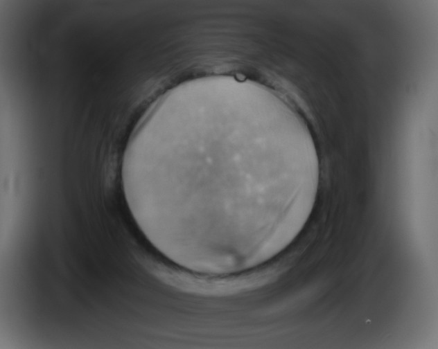 X0000084600018200703231937