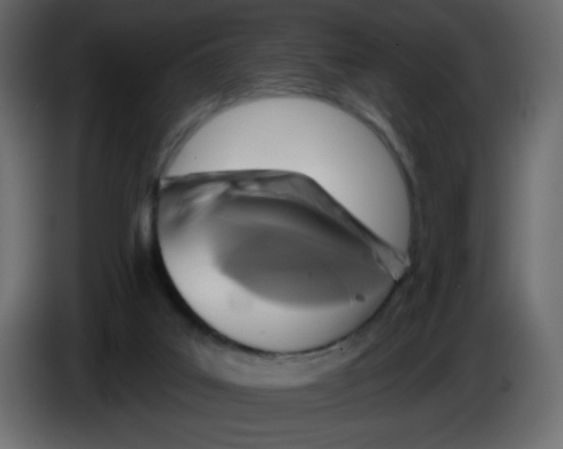 X0000084600019200703231937