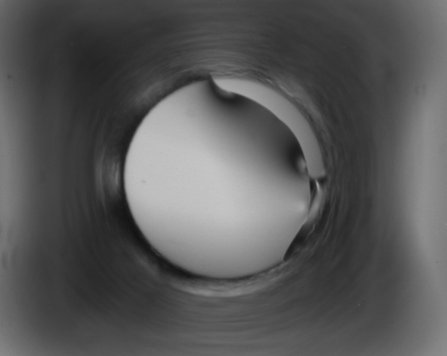 X0000084600021200703231937