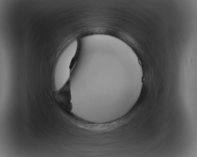 X0000084600023200703231937