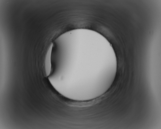 X0000084600025200703231937