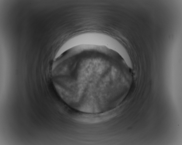 X0000084600029200703231936