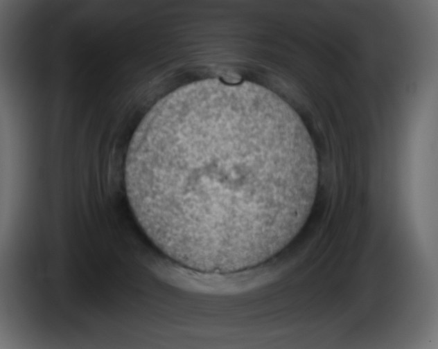 X0000084600030200703231936