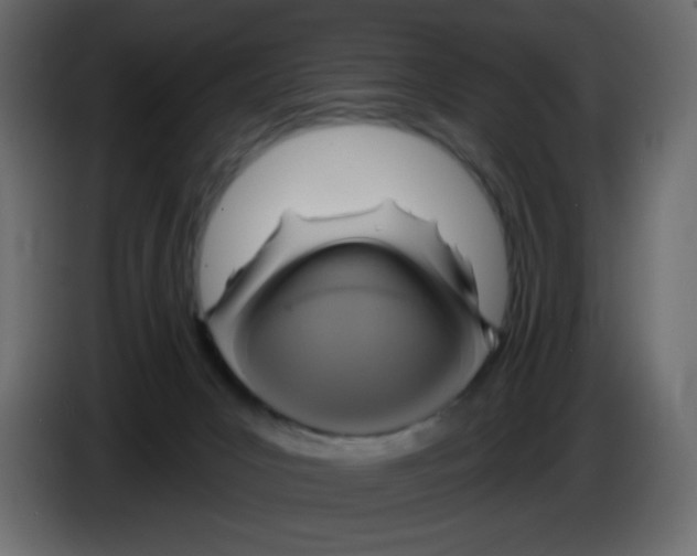 X0000084600031200703231936