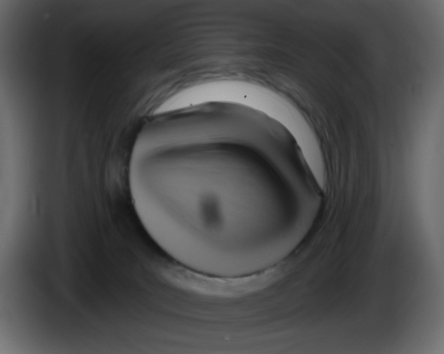 X0000084600035200703231936