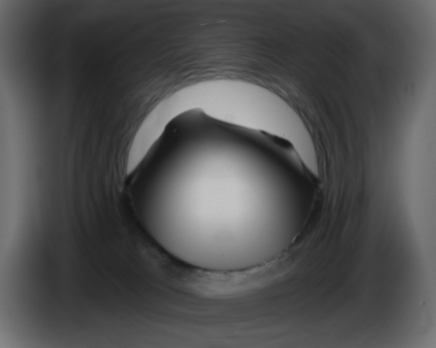 X0000084600037200703231936