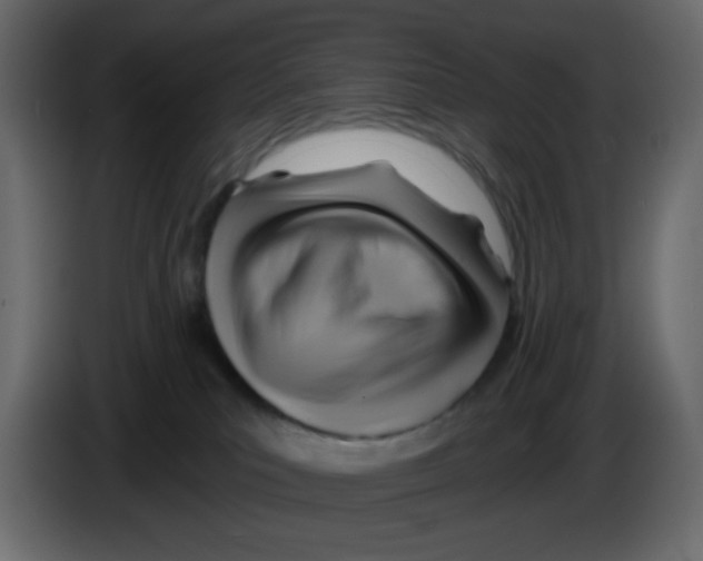 X0000084600039200703231936