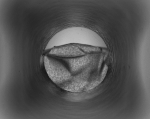 X0000084600041200703231936