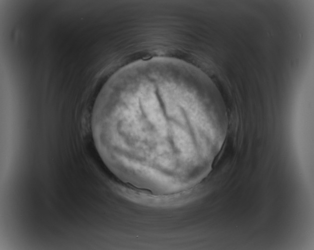 X0000084600043200703231936