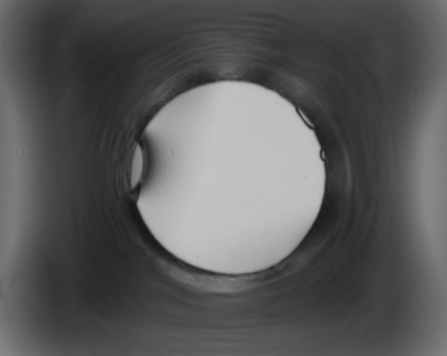 X0000084600044200703231936