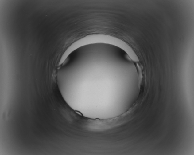 X0000084600045200703231936