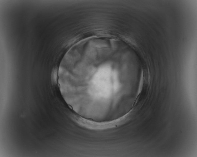 X0000084600047200703231936