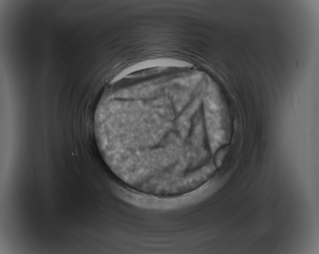 X0000084600048200703231936