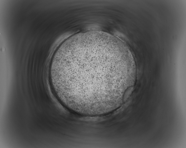 X0000084600049200703231935