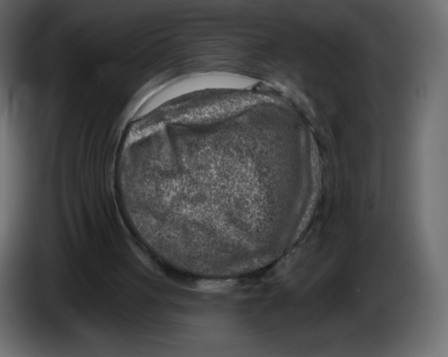 X0000084600051200703231936