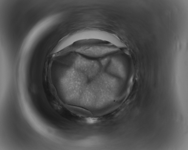 X0000084600052200703231936