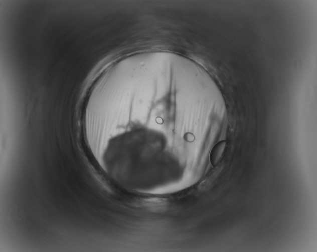 X0000084600053200703231936