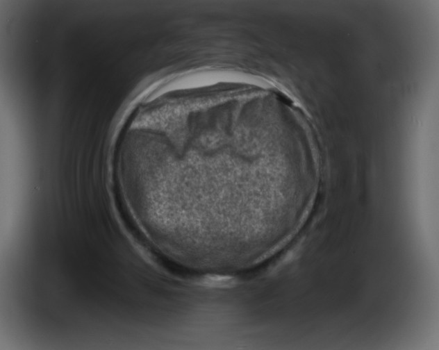 X0000084600055200703231936