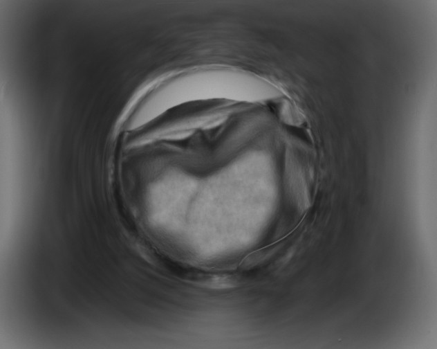 X0000084600056200703231936