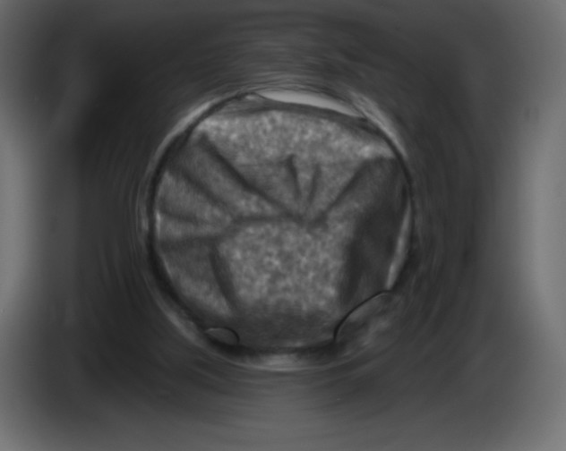 X0000084600059200703231936