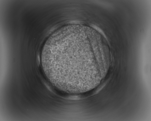 X0000084600061200703231936