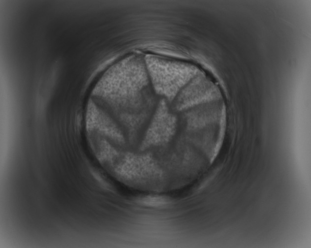 X0000084600063200703231936