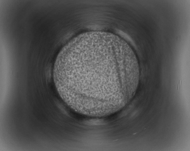 X0000084600065200703231936